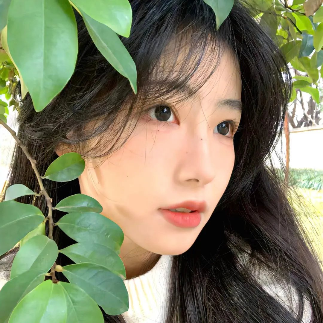 甄嬛爱不停
